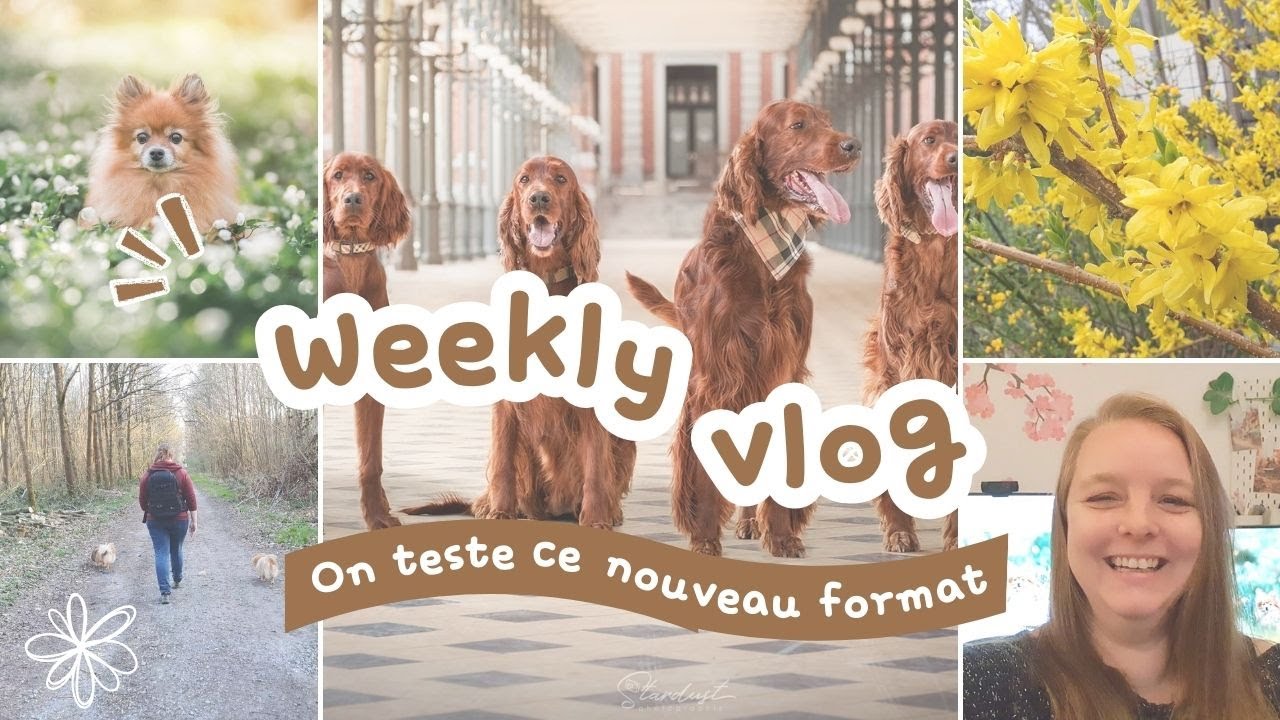 Weekly Vlog 1 - Travail et balades dans les fleurs