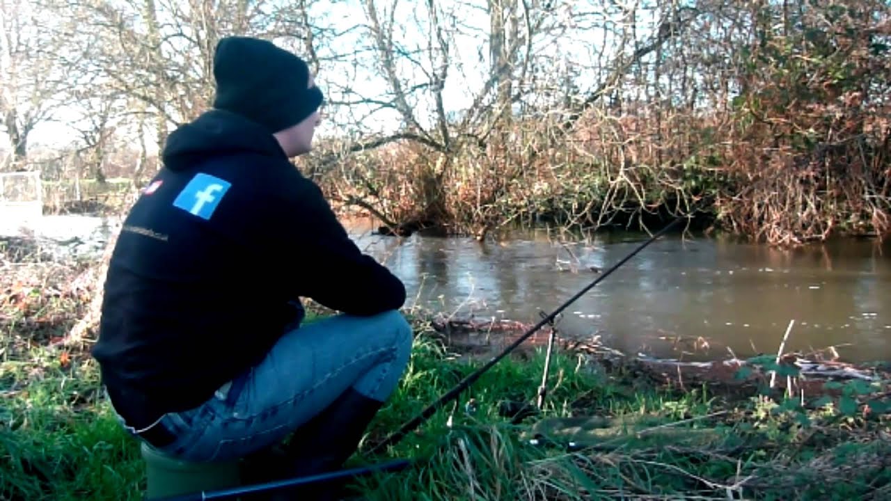 chub fishing, stour