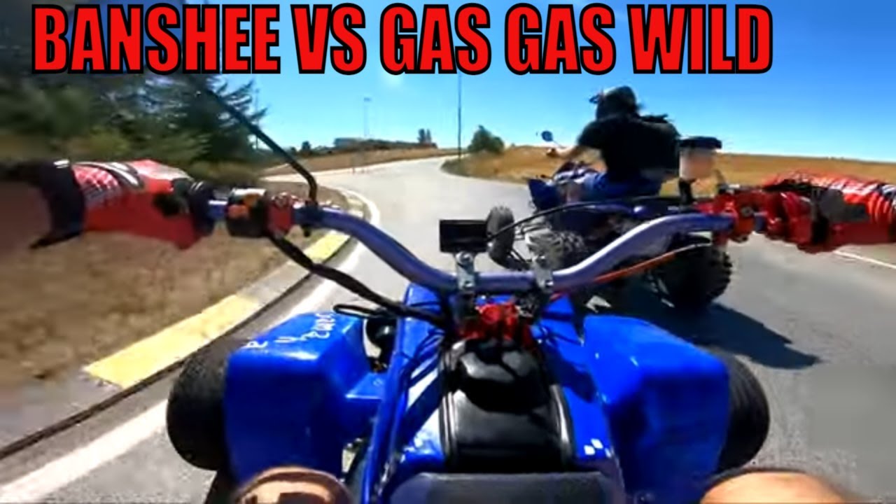 BANSHEE VS GAS GAS WILD