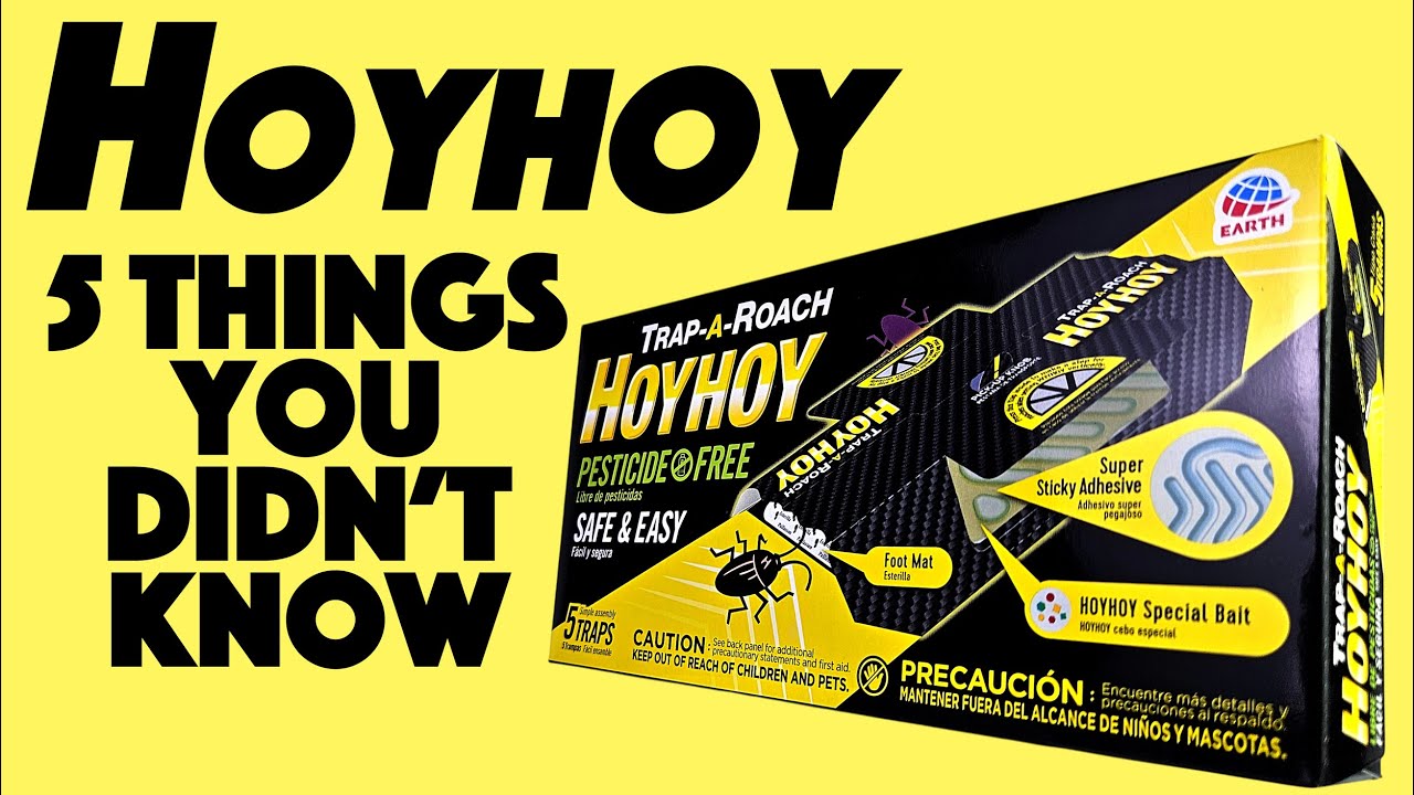 5 Things You Didn't Know about HoyHoy Roach Traps