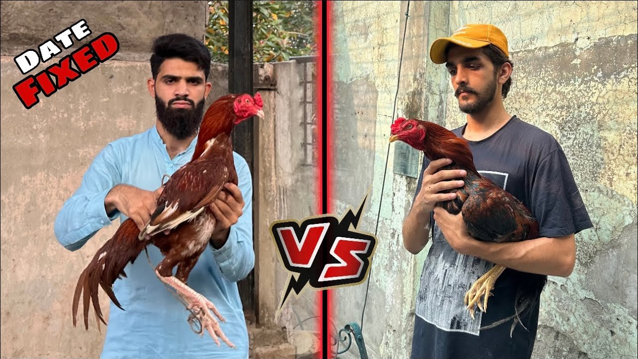Dushman mil gya 😡 || Match fix ⚔️