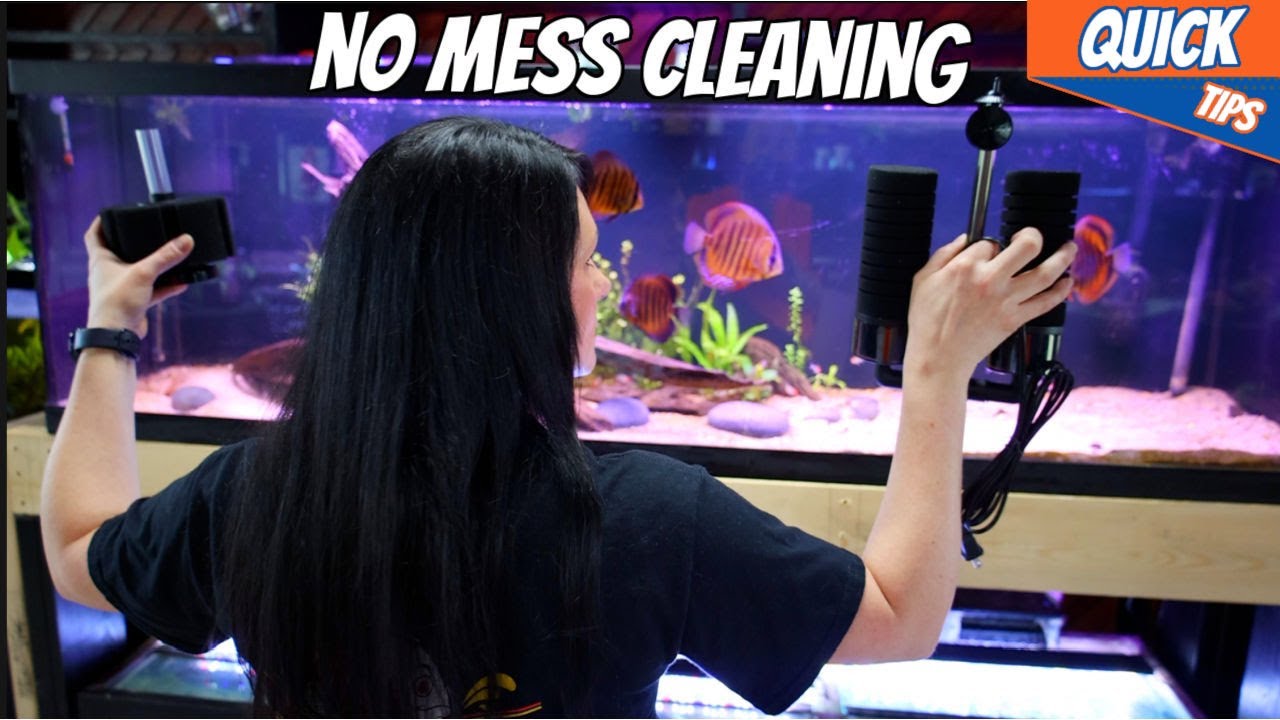 How To Clean Sponge Filters With NO MESS!