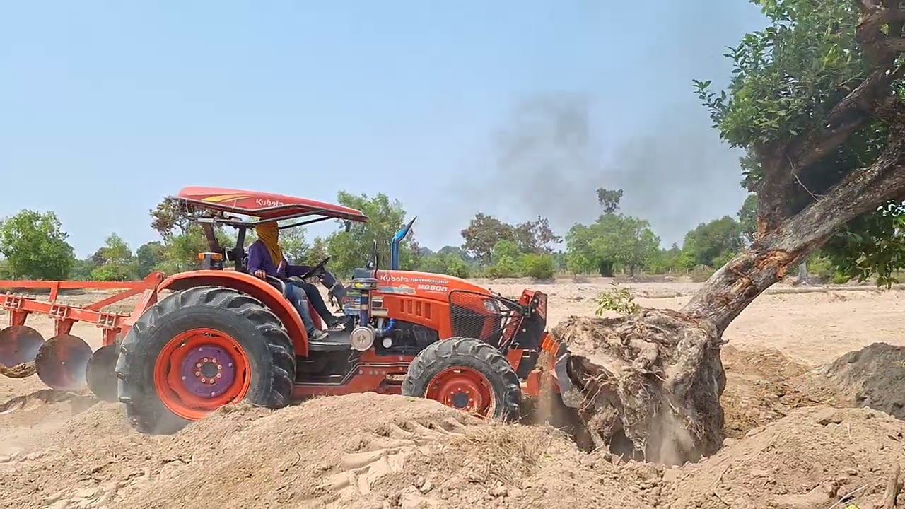 แรงจัดจ้านงัดต้นไม้อย่างโหดเลยkubota M8808