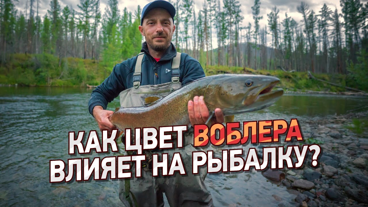 Как цвет воблера влияет на рыбалку?