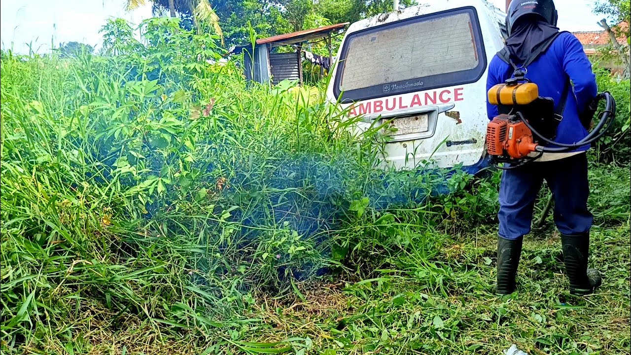 Mobil bekas Ambulance ini tertutup Rumput yang Semak padat tinggi dan tebal