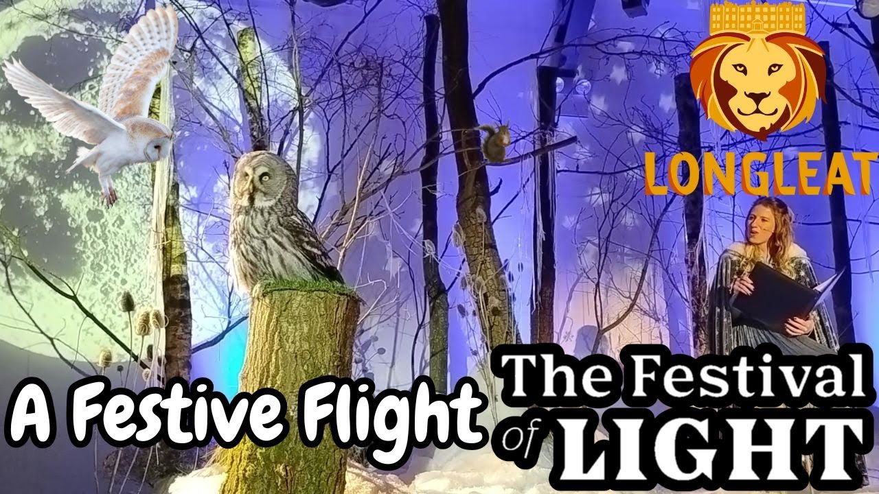 A Festive Flight Full Show: The Festival of Light 2024 at Longleat Safari and Adventure Park