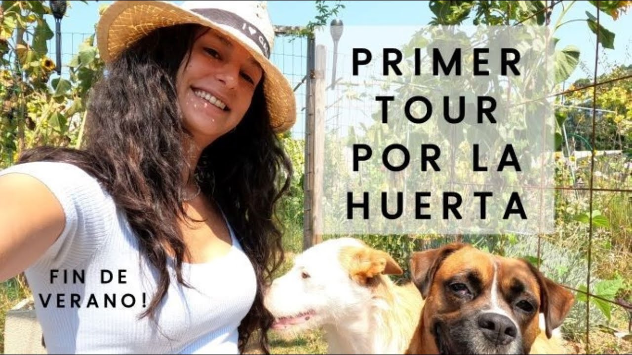 PRIMER TOUR POR LA HUERTA a finales de Verano!