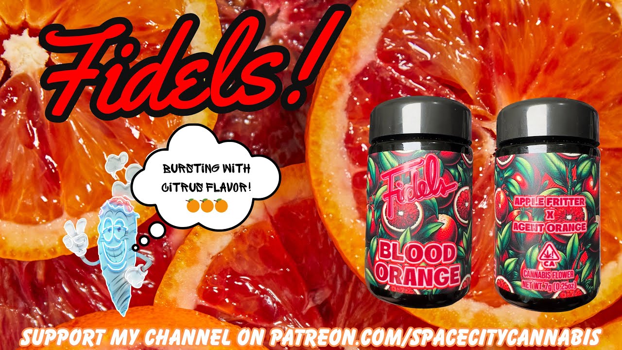 FIDELS FLOWER REVIEW: Blood Orange (🍊💨🔥) For The Citrus Lovers!