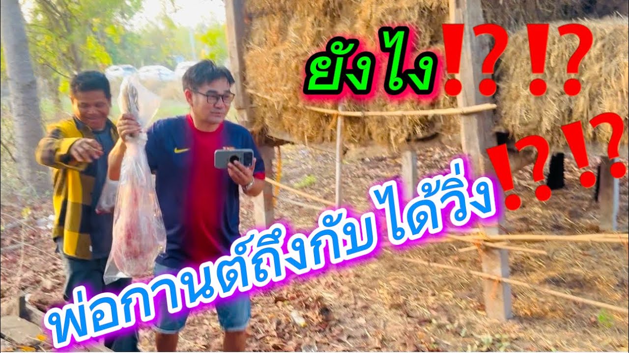 ยังไง⁉️พ่อกานต์ถึงกับได้วิ่ง⁉️⁉️