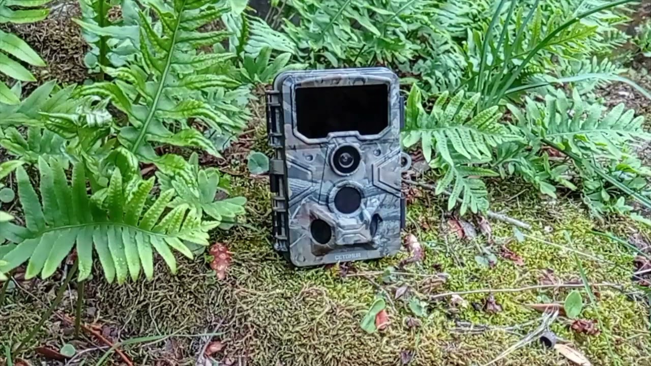 ✳️  TUTORIAL CÁMARA DE CAZA CEYOMUR CY70 2.7K 24MP - REVISIÓN, COMO SE PROGRAMA Y VIDEOS DE FAUNA.