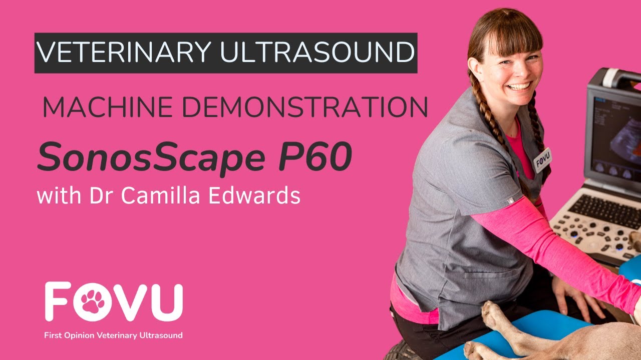 SonoScape P60 - An independent veterinary ultrasound machine review