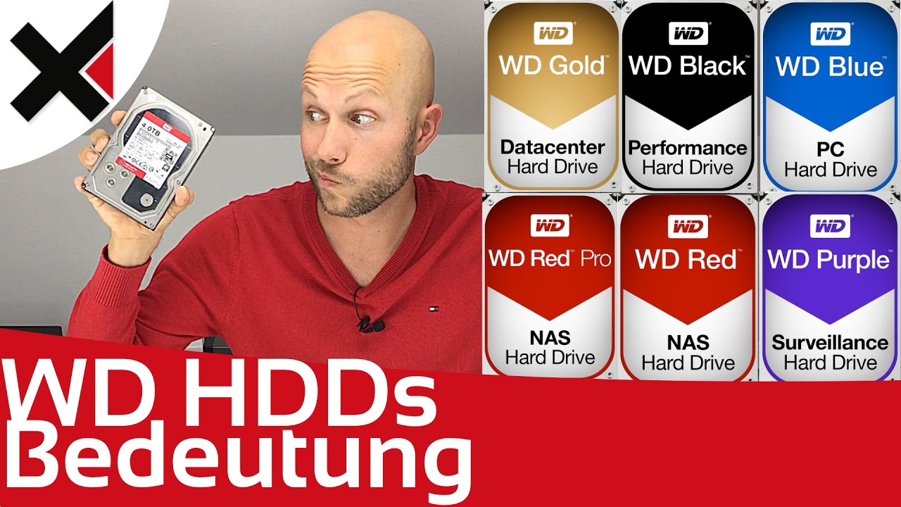 WD Black, Blue, Red, Purple, Gold was die Farben bei Western Digital bedeuten | iDomiX