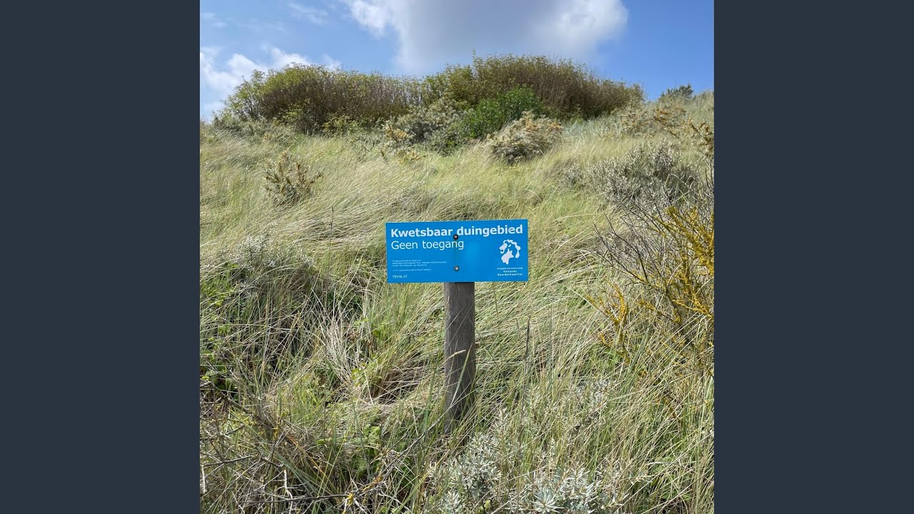 Dutch Dunes