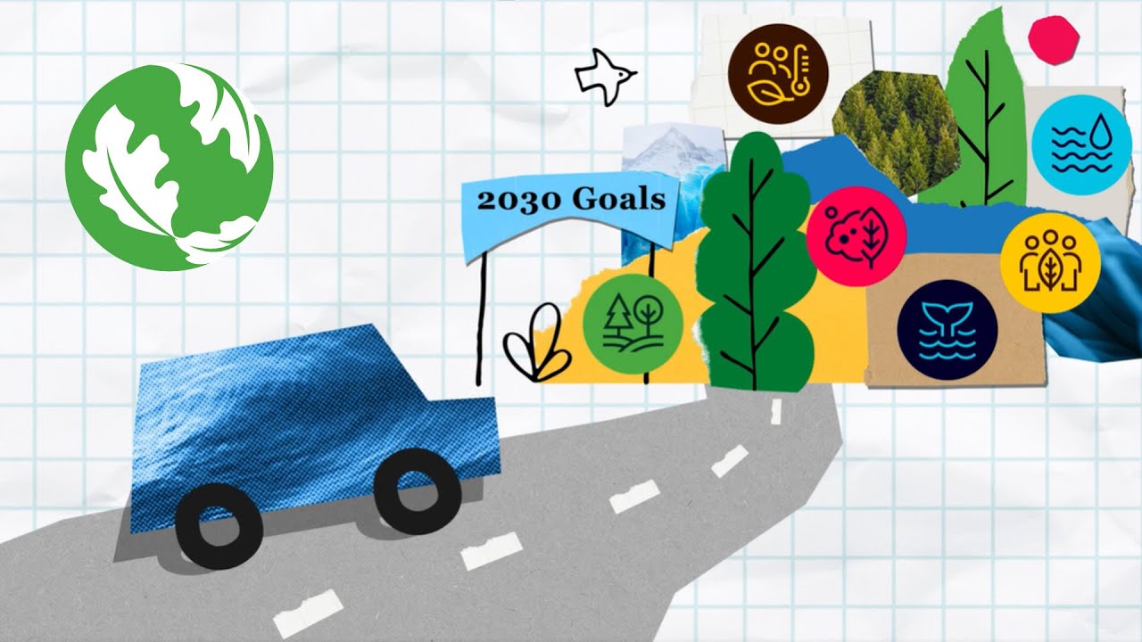 Portfolio Management at The Nature Conservancy