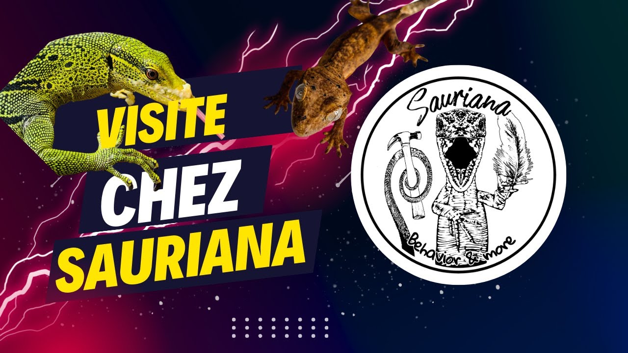 VISITE CHEZ SAURIANA !!!!