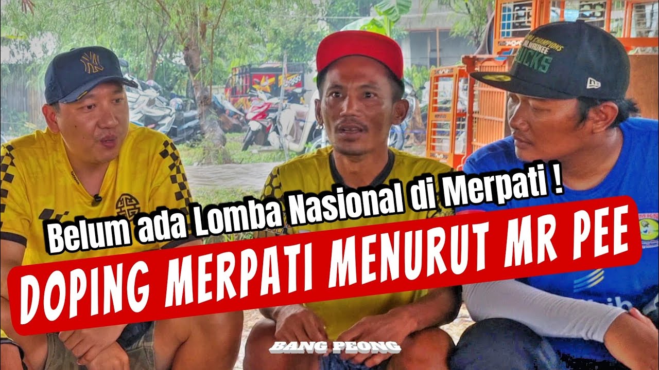 Harapan Merpati Kolong Event Nasional_Pemakaian Suplemen / Jamu Merpati Kolong ala Mr Pee ?
