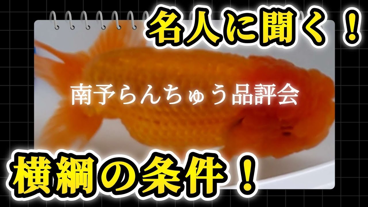 大きく育てる秘訣とは！