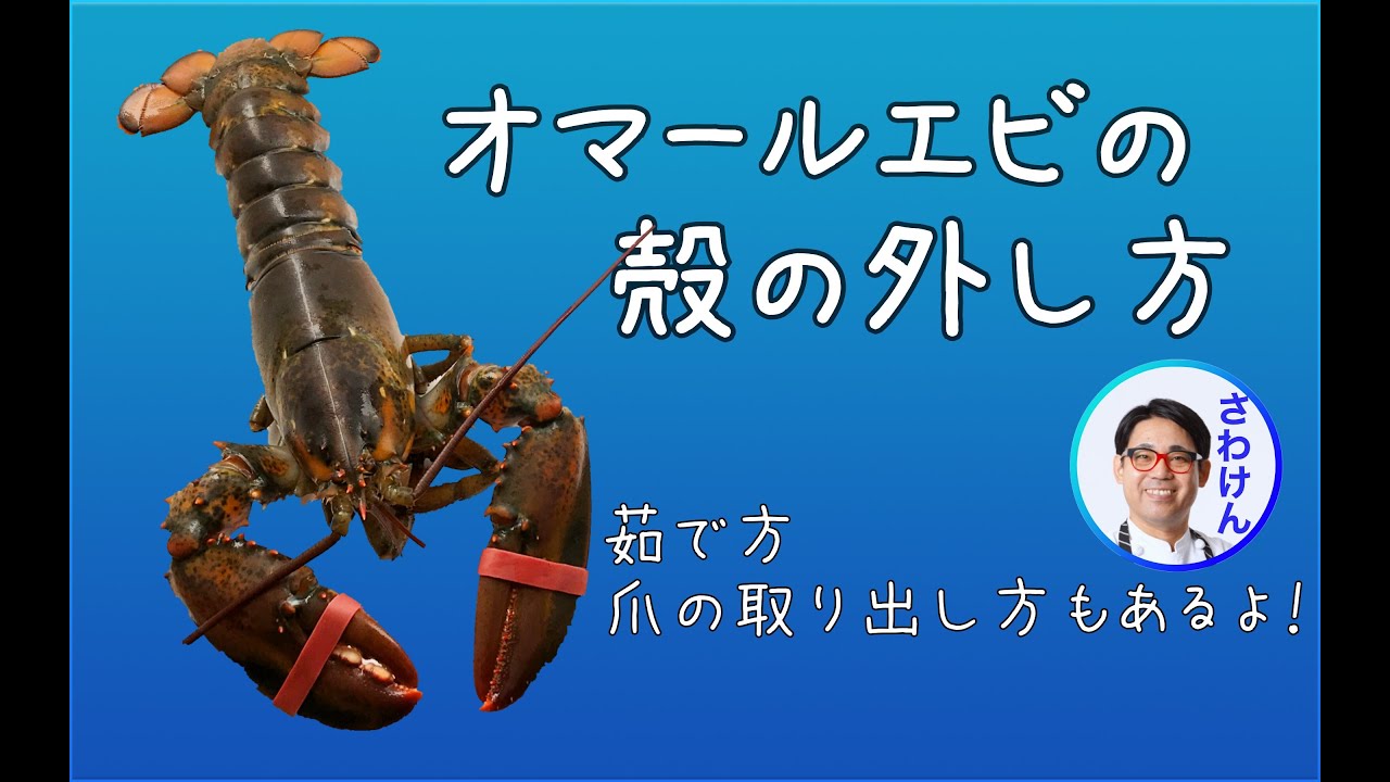 解説！オマール海老（ロブスター）の殻のむき方＆爪の割り方。Comment découper du homard