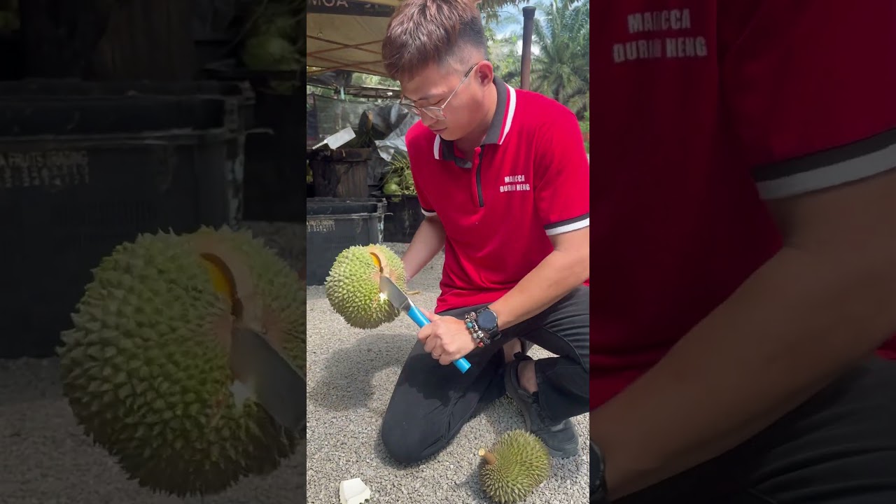 Unboxing Durian BlackThorn D200 #fruit #musangking #durian #malaccadurianheng #fypシ゚ #fruitcutting