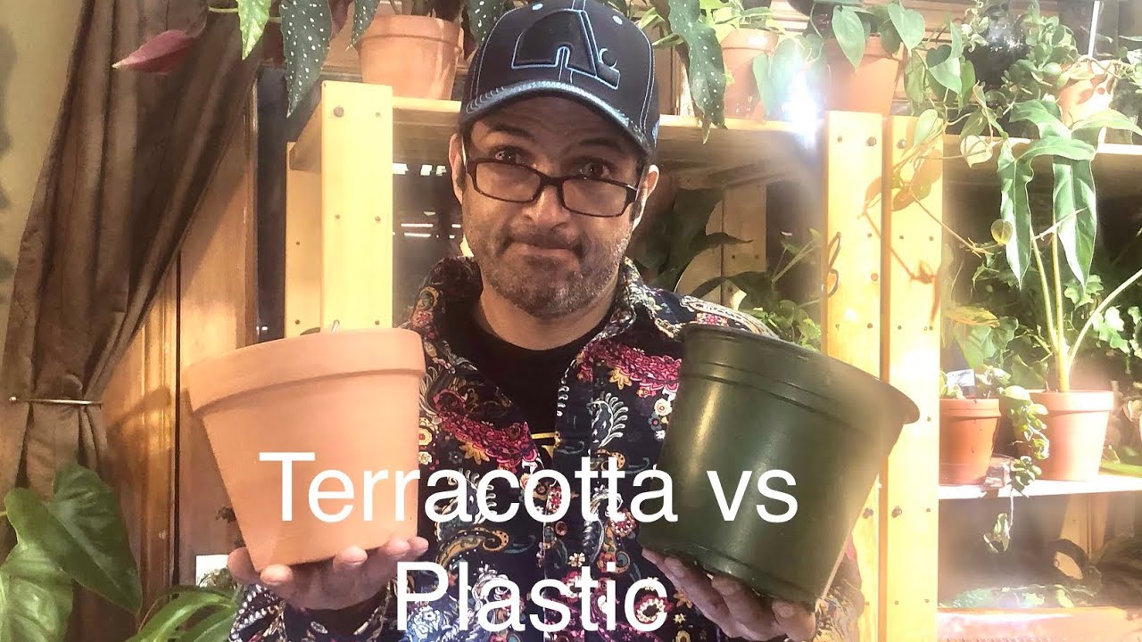 terracotta clay vs plastic plant pots. Testing drainage, which is better for fast drying
