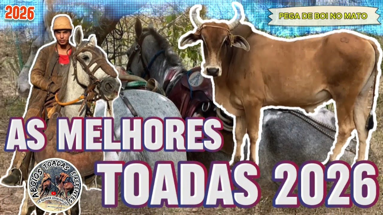 Toadas de Cavalos de Gado, Festas de Gado Brabo no Sert&atilde;o  - Aboios Toadas e Repentes 