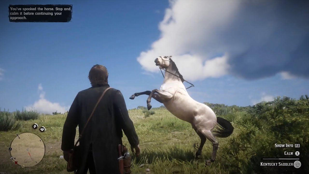 Breaking, Taming, and Riding a Wild Horse in RDR2 &ndash; Full Adventure! 🐎🤠