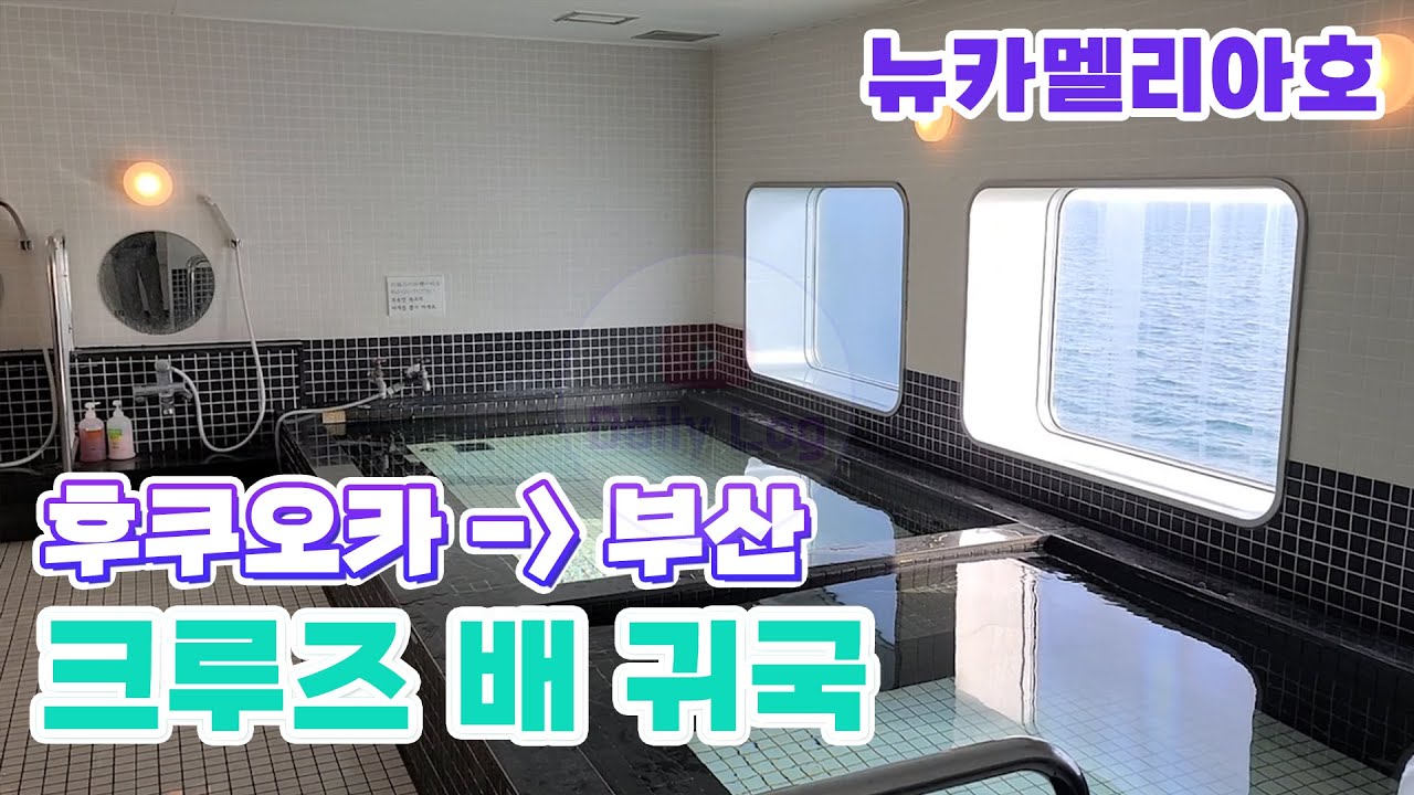 후쿠오카에서 배 타고 부산 크루즈 귀국 | 일본 여행 & 후쿠오카 뉴카멜리아호 2등실 리뷰