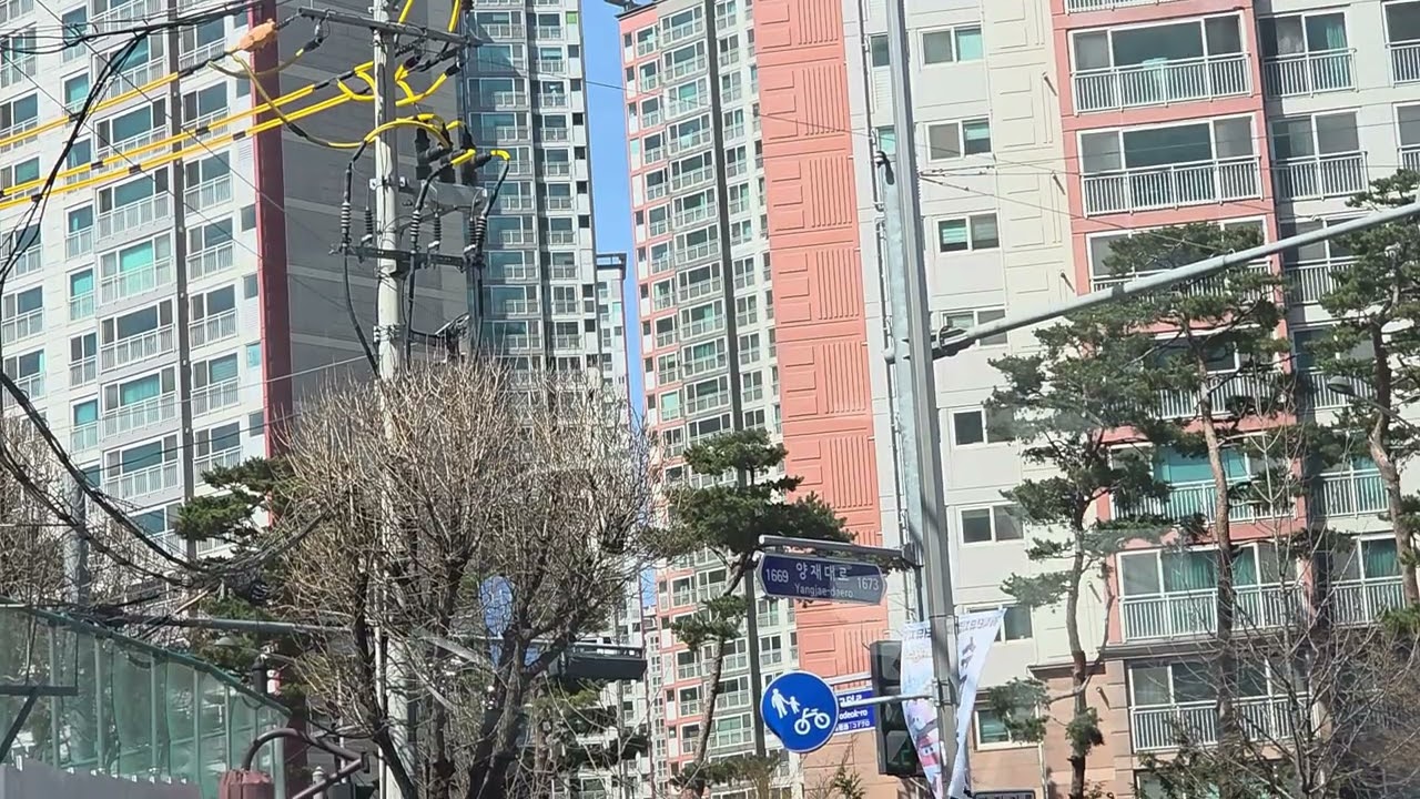 (2026 청년성서모임 봄학기 개강미사 D-DAY 특집) (2026.03.13) 북부운수 2312번 9750호 주행영상 