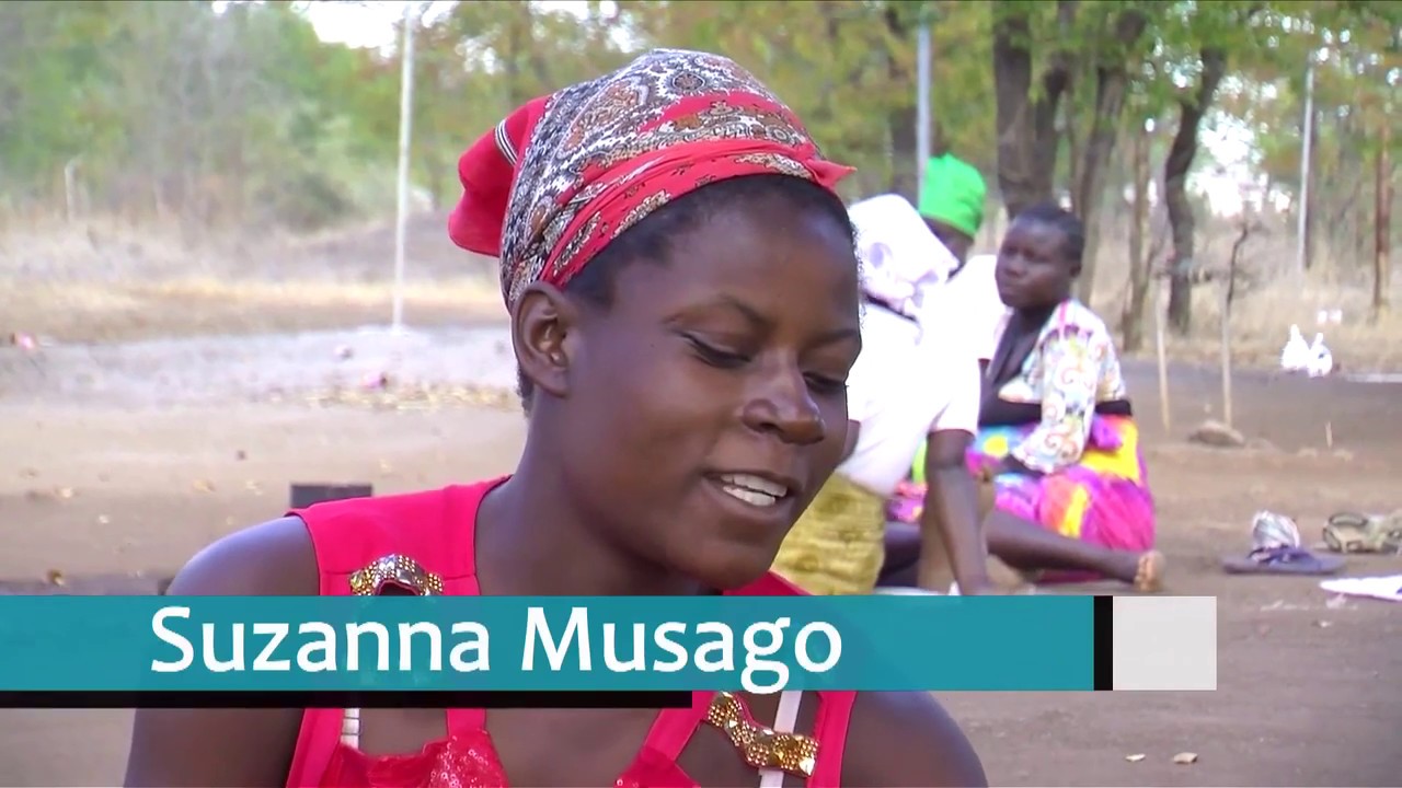 Near Real Time Monitoring System - FNC Zimbabwe