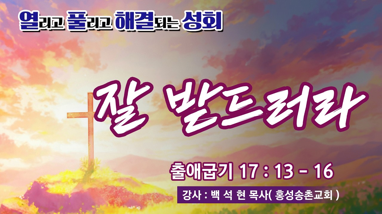 2026 백석현 목사초청 춘계부흥성회 (7) - 잘 받드러라
