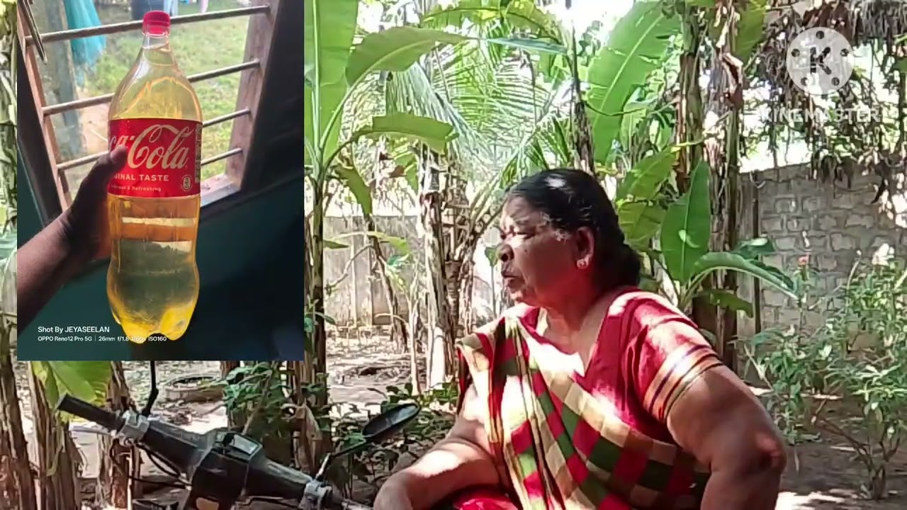 ஐயோ! ஐயோ! யாழ்ப்பாணம் பற்றி எரிகிறதா?