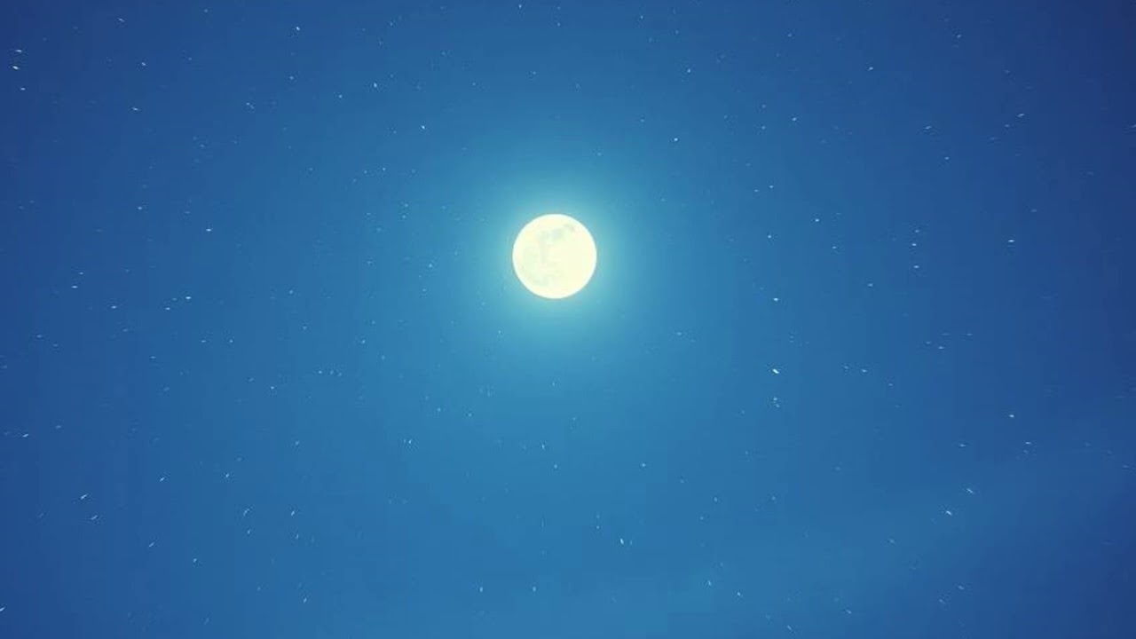 楼樹くるみ        星降る願い