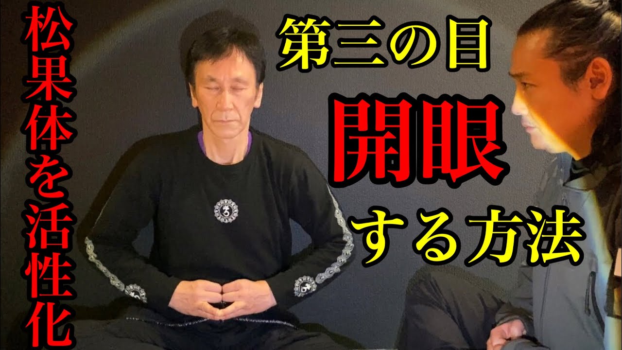 一流の武術家に「サードアイ」を覚醒してもらったらある事が出来るようになりました！
