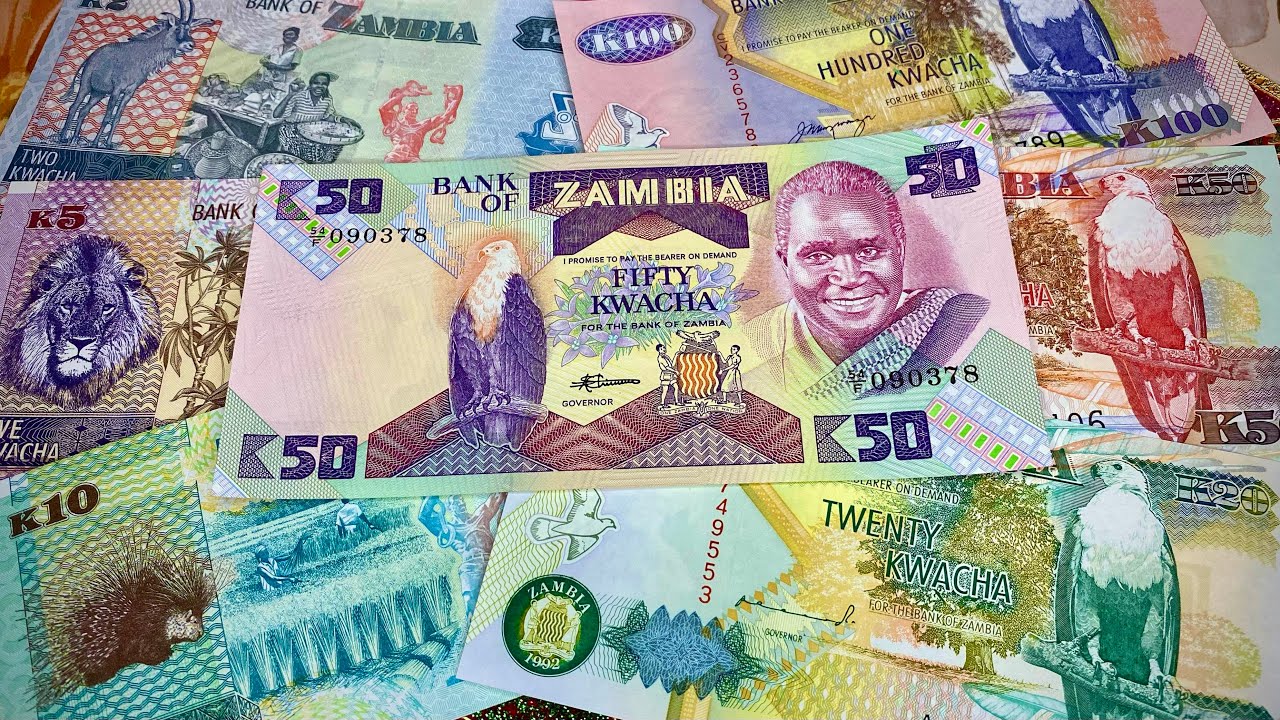 ✅ AMAZING MONEY WORLD: Cheerful ZAMBIA Banknotes! 🇿🇲🦁☀️🌍