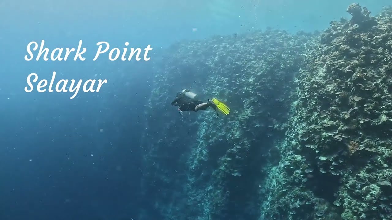South Sulawesi - Diving in Shark Point, Selayar