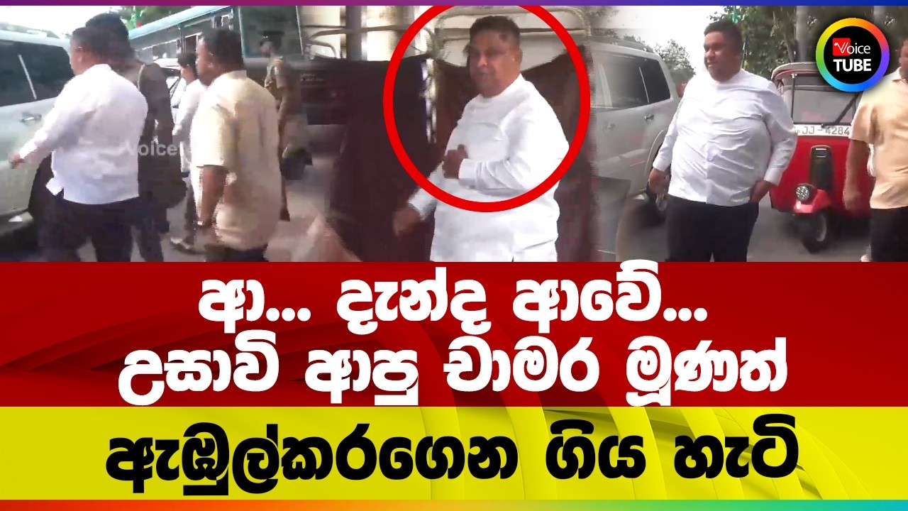 ආ... දැන්ද ආවේ... උසාවි ආපු චාමර මූණත් ඇඹුල්කරගෙන ගිය හැටි