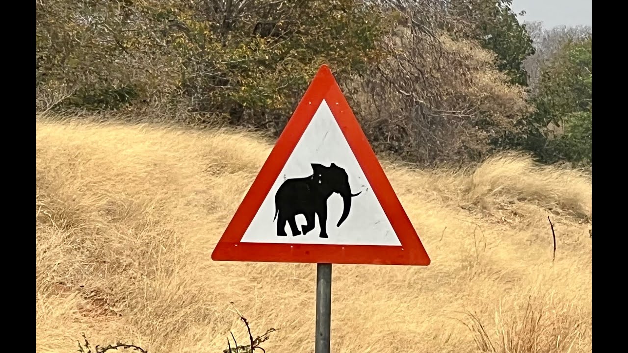 Elephant Sands
