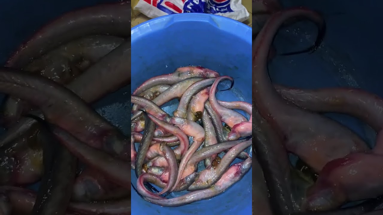 আজকে  রমজানের বাজার কোরলাম।#arijitsingh #food 
