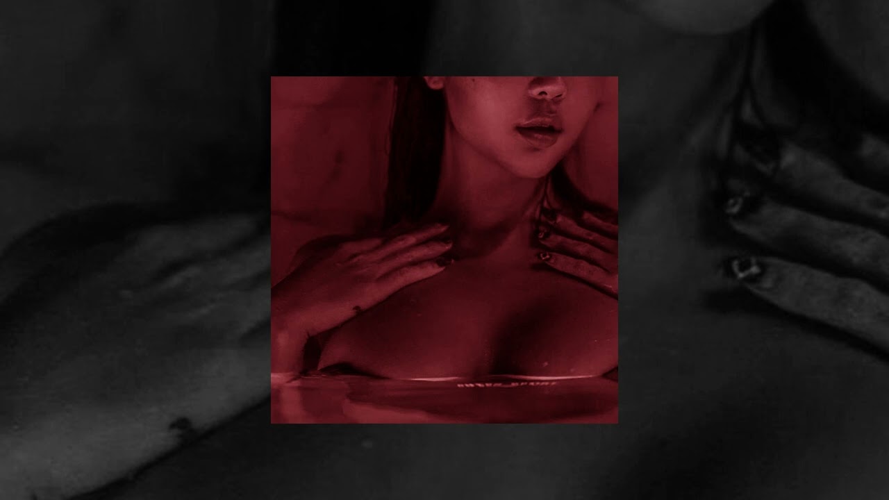 zandros - hedonist