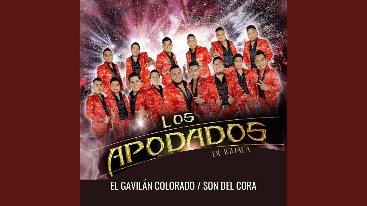 El Gavilán Colorado / Son del Cora