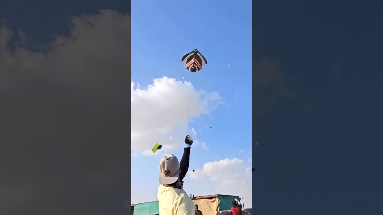 Lahore basant festival is now celebrated around the globe #AlAinBasant