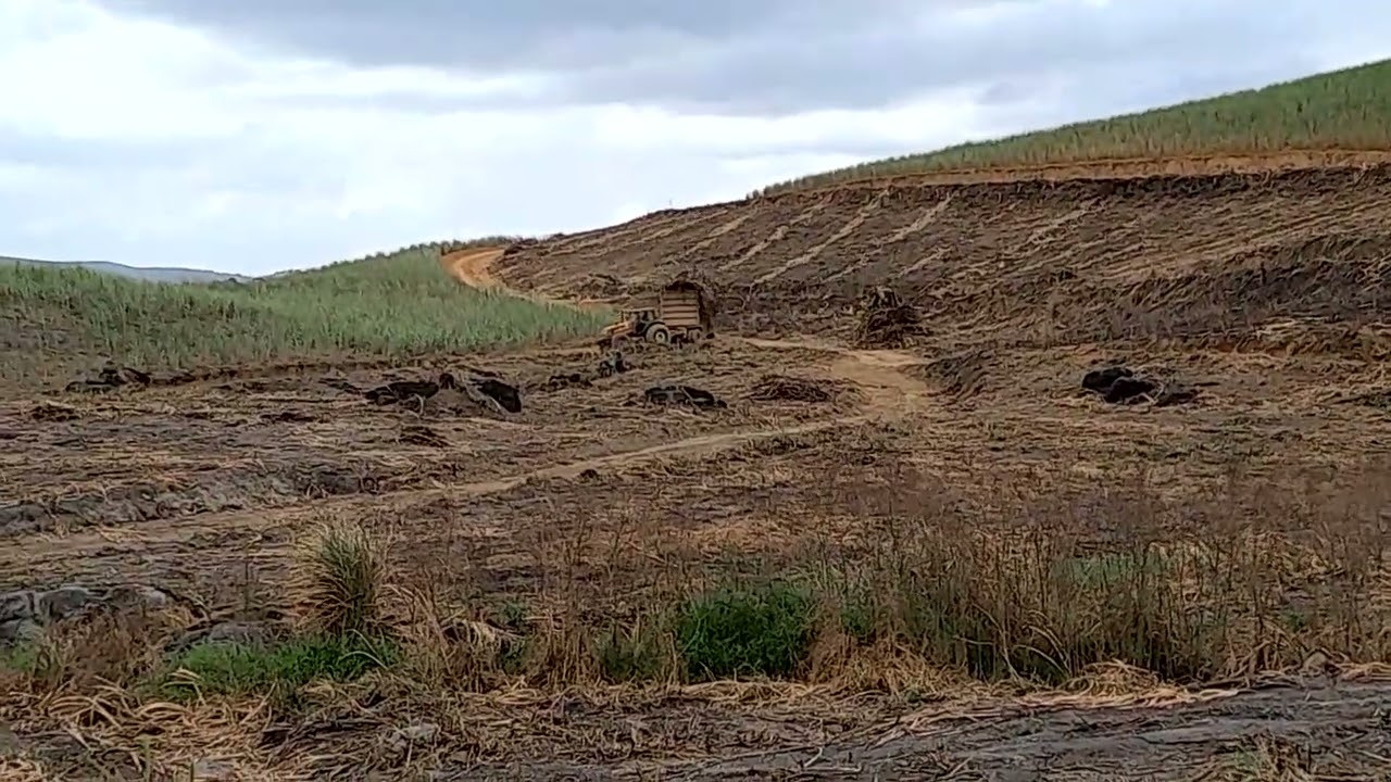 @BSV#CriadorDeConteúdos #carregamento #deCana. 