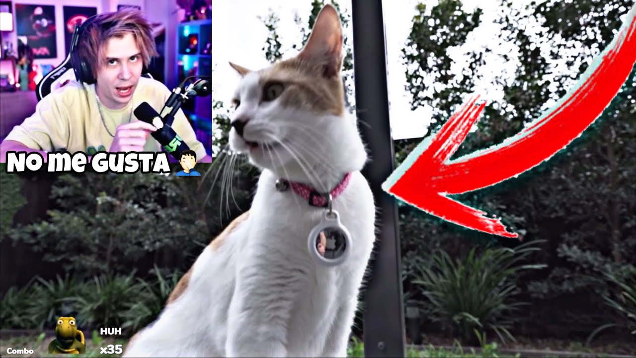 RUBIUS REACCIONA LE PUSE AIRTAGS AMI GATO