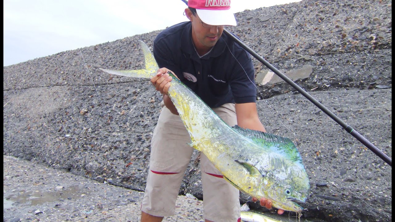 SCELTA delle CANNE DA PESCA: 👉🏻 CONSIGLI su come comprare la canna giusta 💶 SENZA SPRECARE SOLDI &euro; 💶