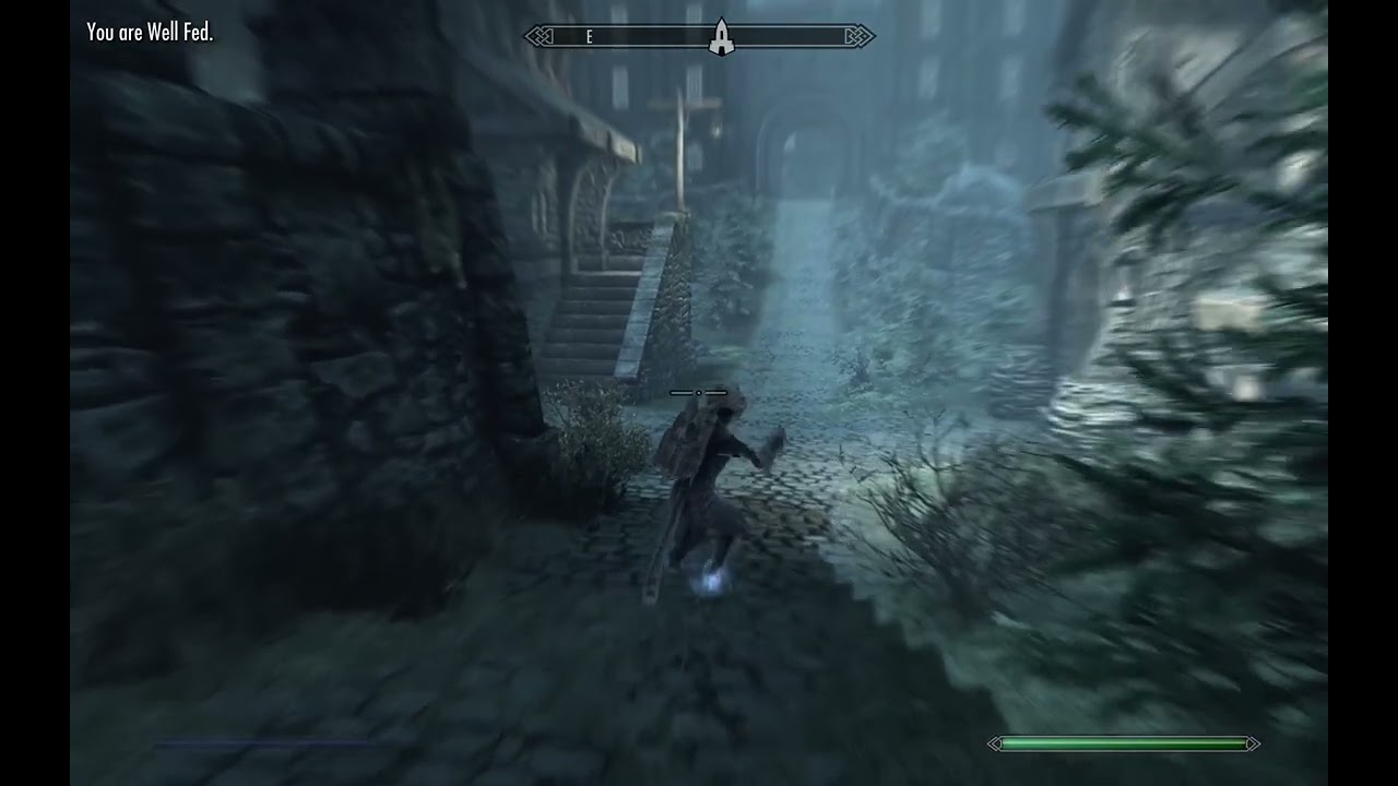 Training Thief Skills & Doing Radiant Quests - Skyrim AE 111 - Bounties & Mage's College - Survival