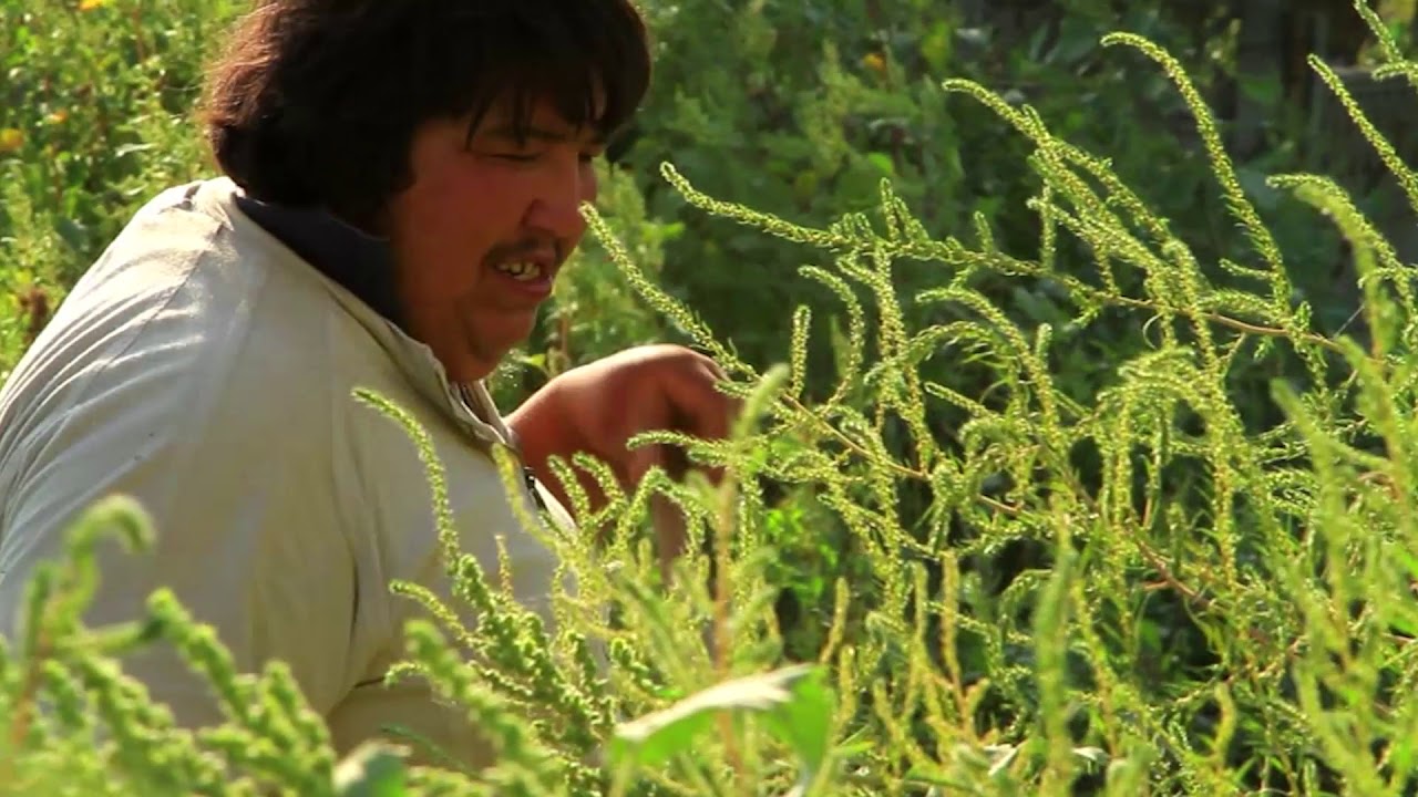 Ultimii tătari și geamia lor I Last tatars and their mosque