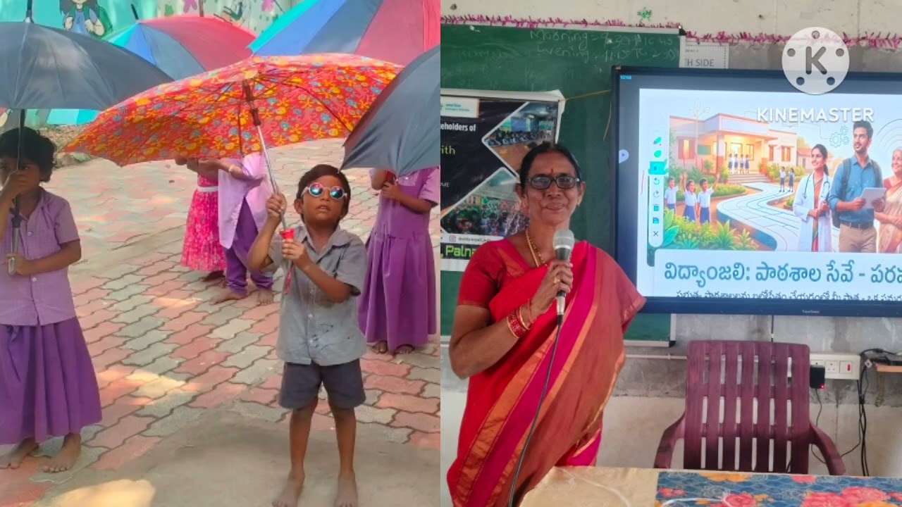 Vidyanjali Training program 