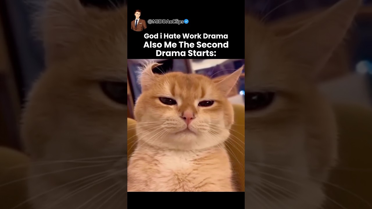 Me The Second Work Drama Starts 🧐