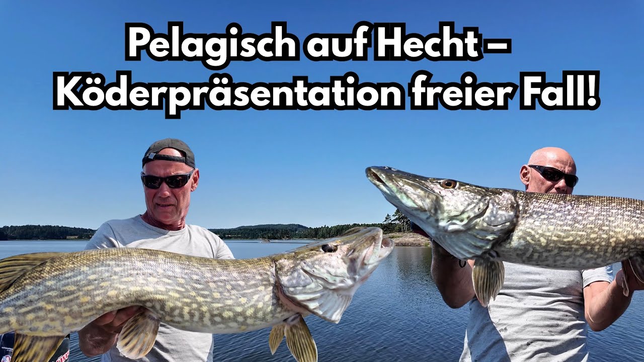 Pelagisch auf Hecht –  Köderpräsentation freier Fall!