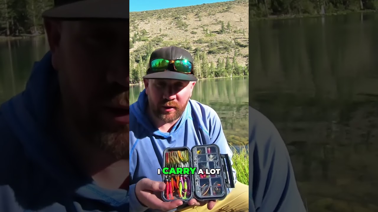Trout Fishing Lures | See the Lure, Jigs & Swimbaits I Swear By!